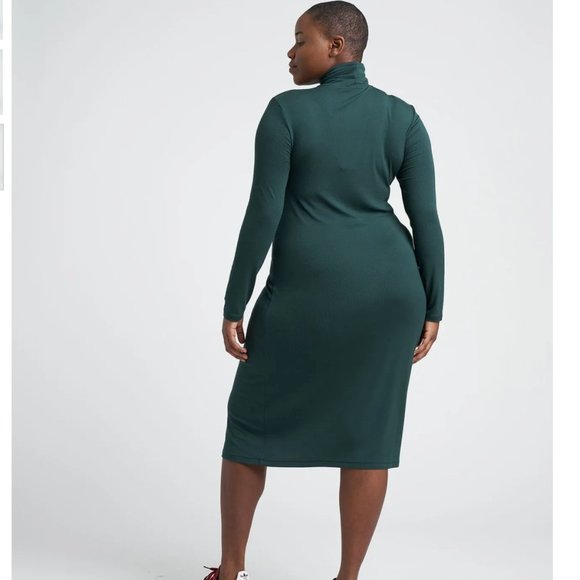 UNIVERSAL STANDARD turtleneck dress - Picture 3 of 4